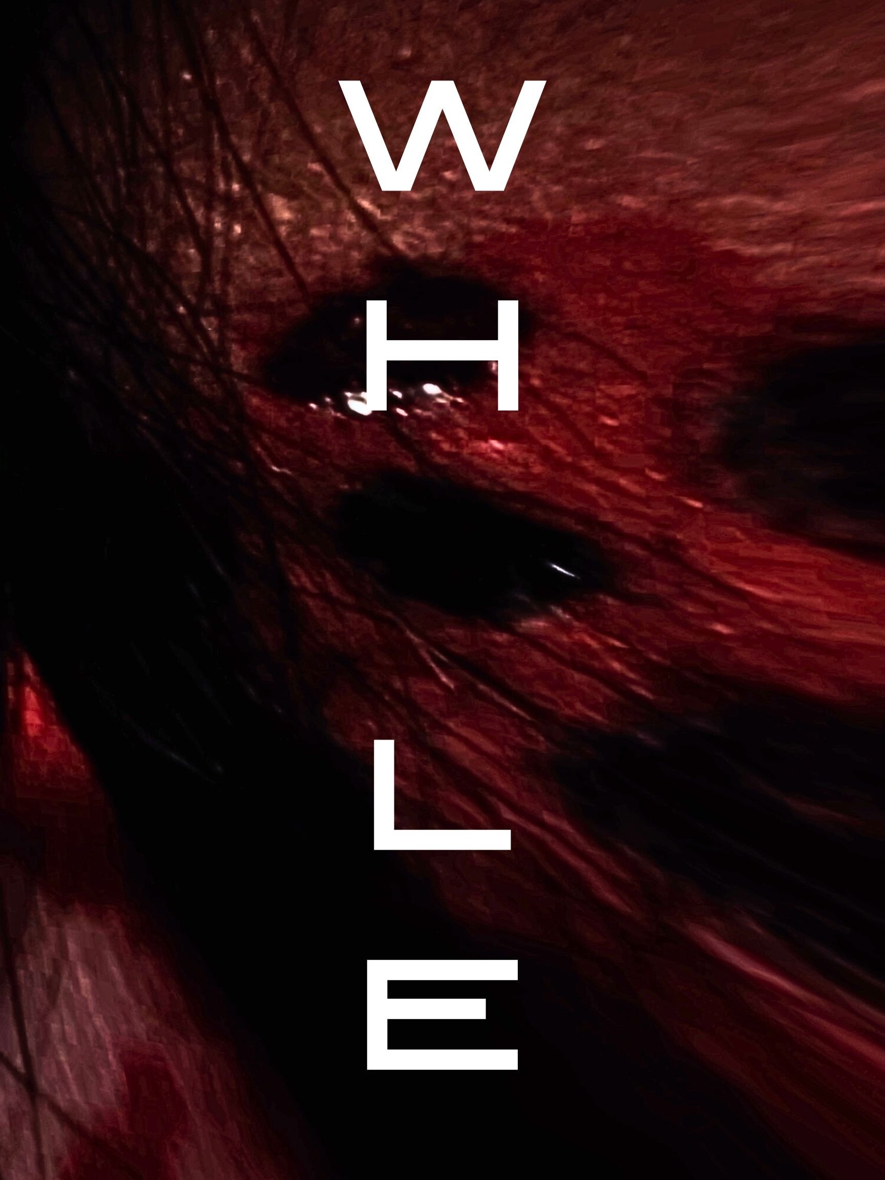Poster de Whole
