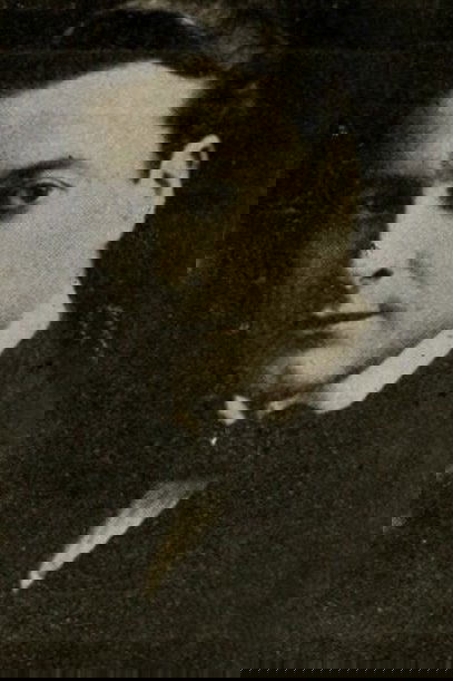 Harry Mestayer