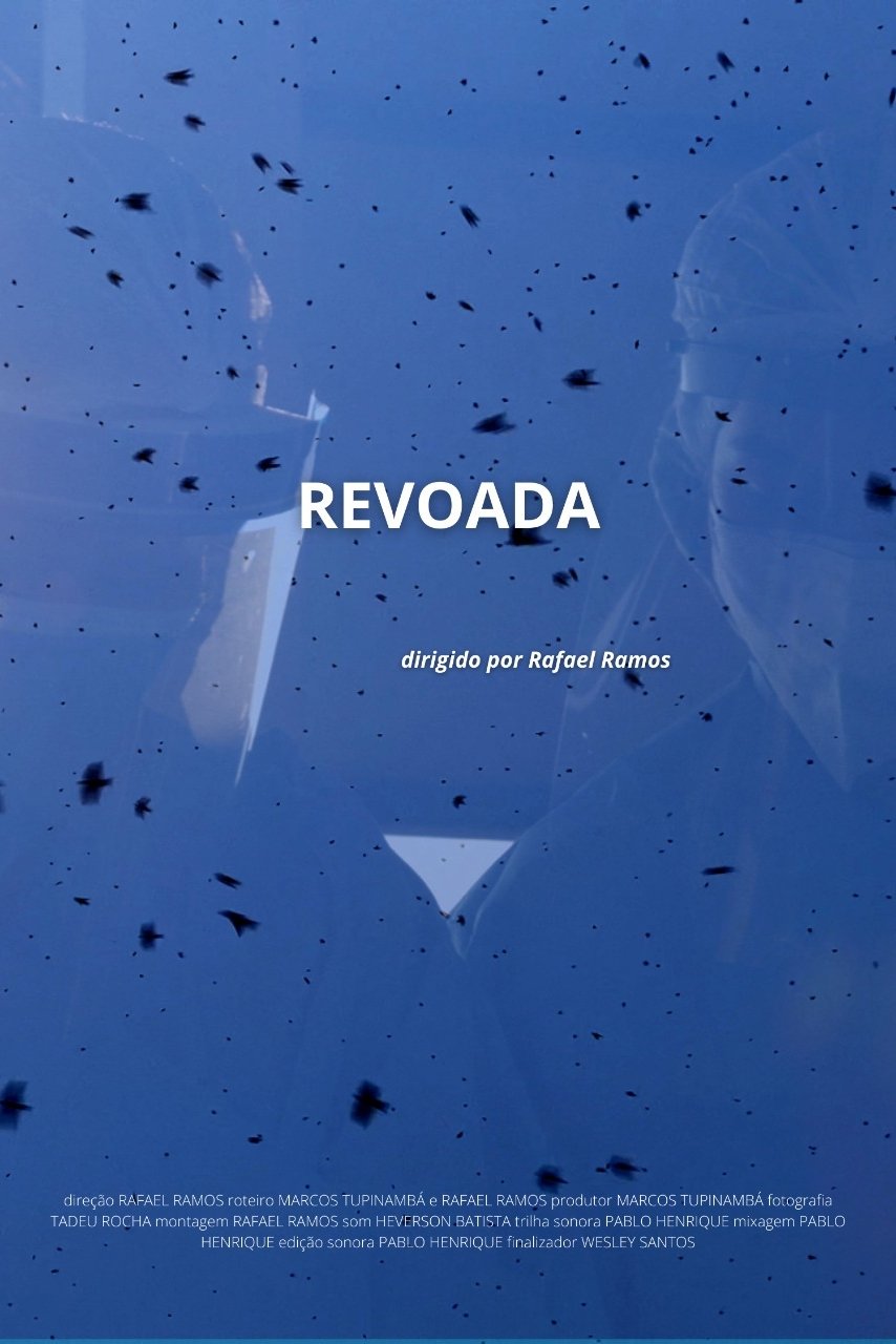 Poster de Revoada
