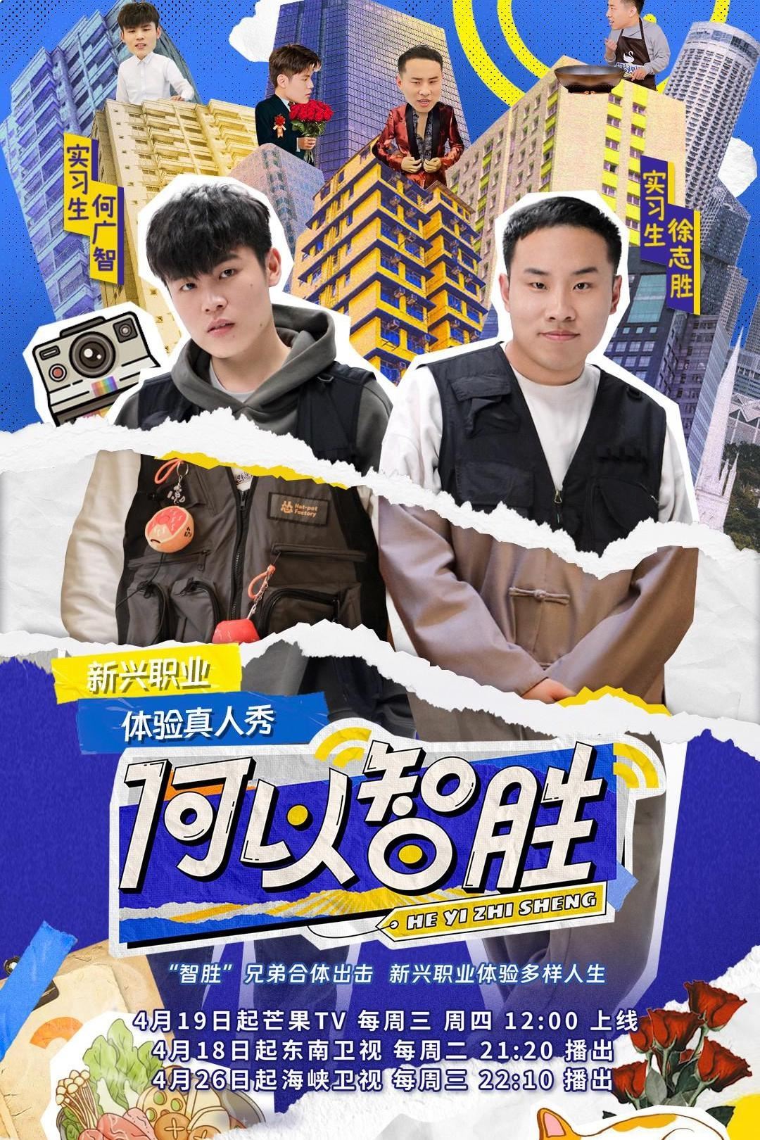 Poster de 何以智胜