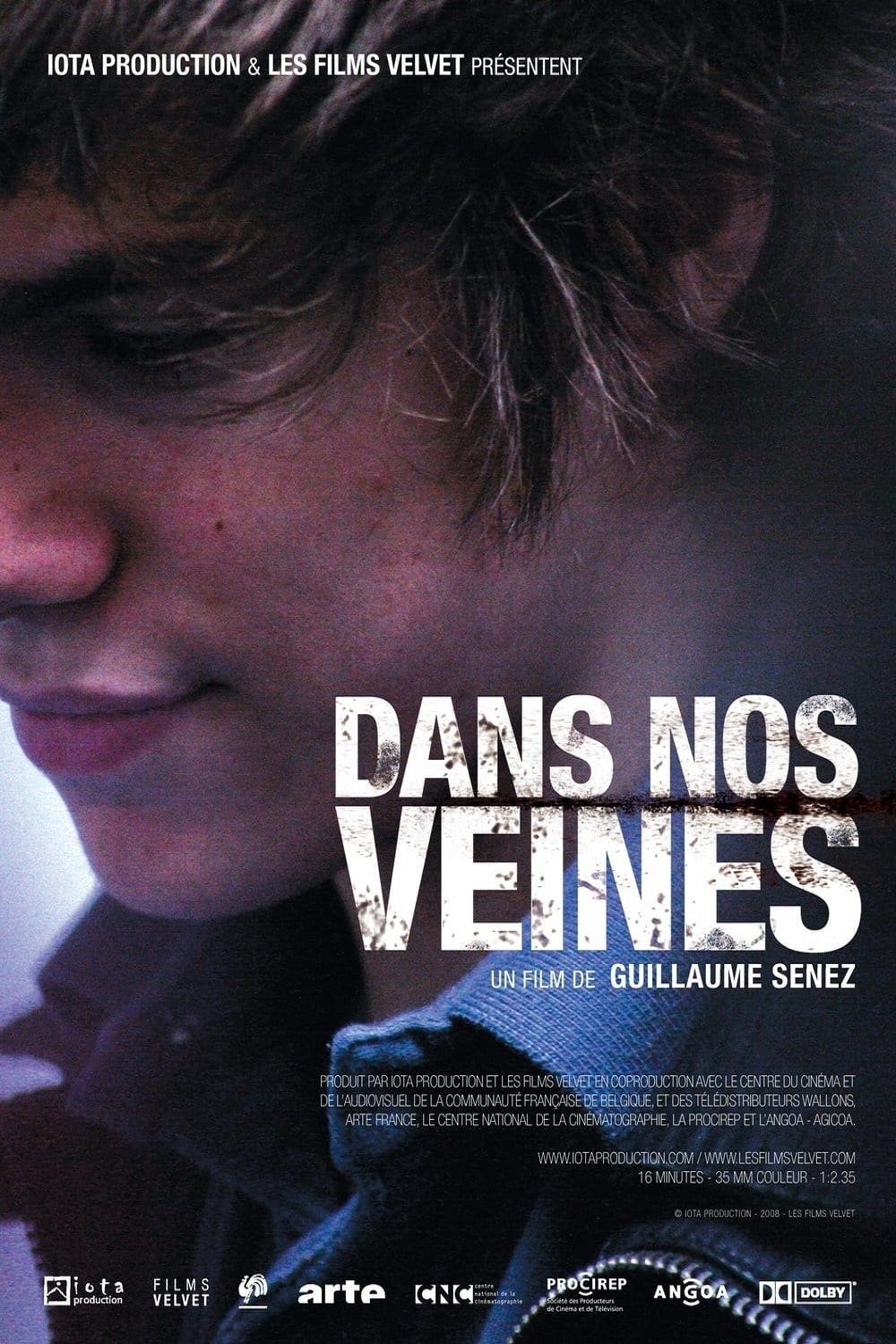 Poster de Dans nos veines