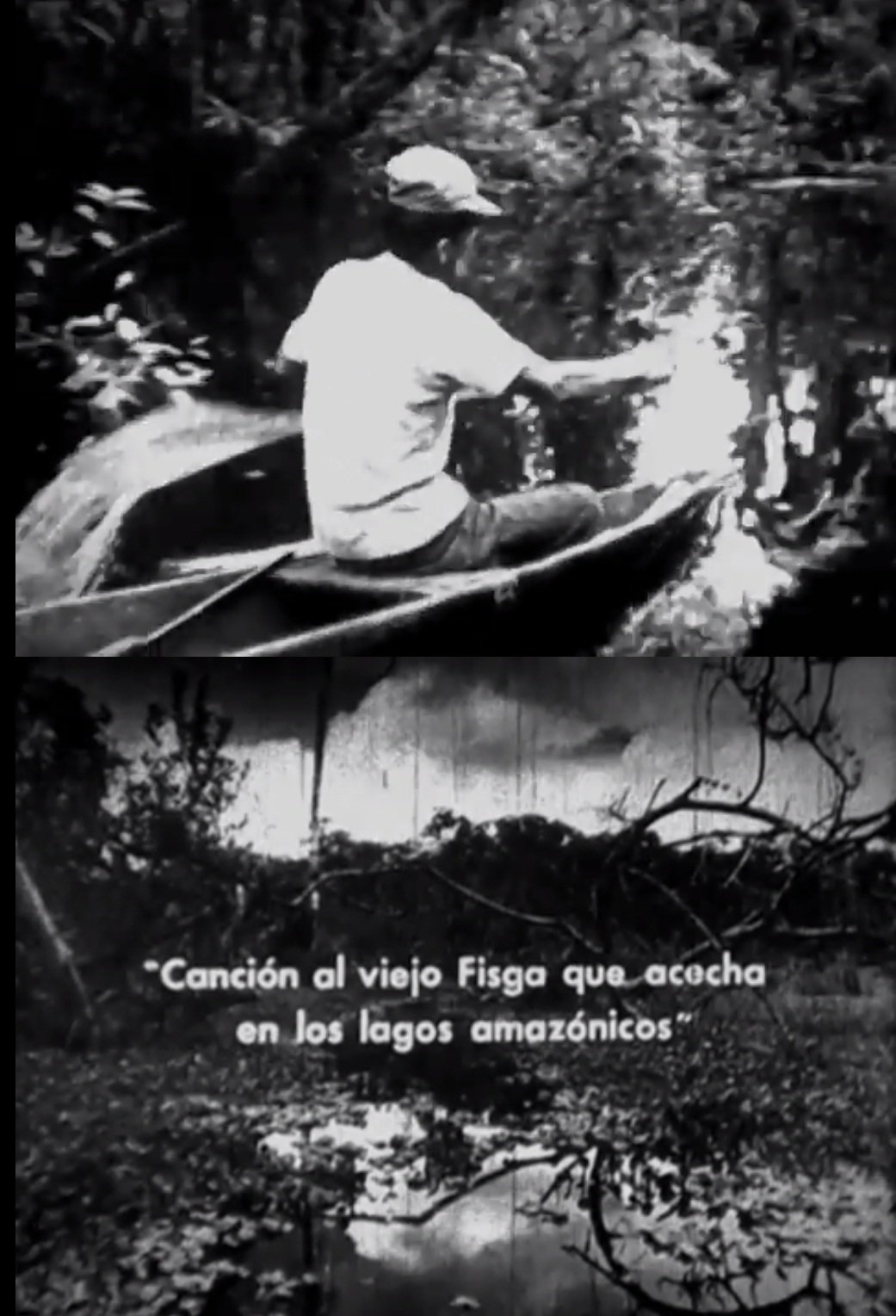 Poster de Canción al viejo fisga que acecha en los lagos amazónicos