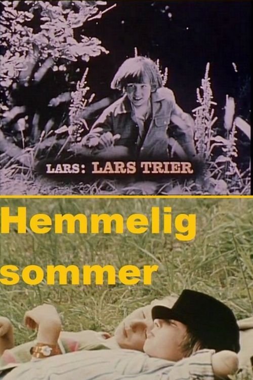 Poster de Hemmelig sommer
