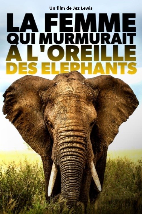 Poster de La femme qui murmurait à l'oreille des éléphants