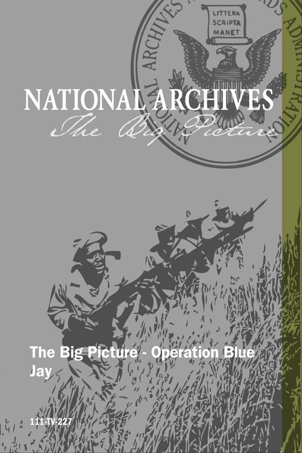 Poster de Operation Blue Jay