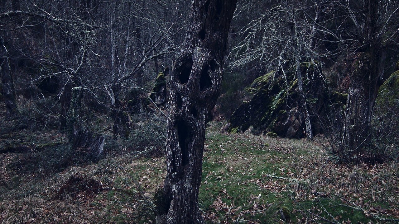 backdrops