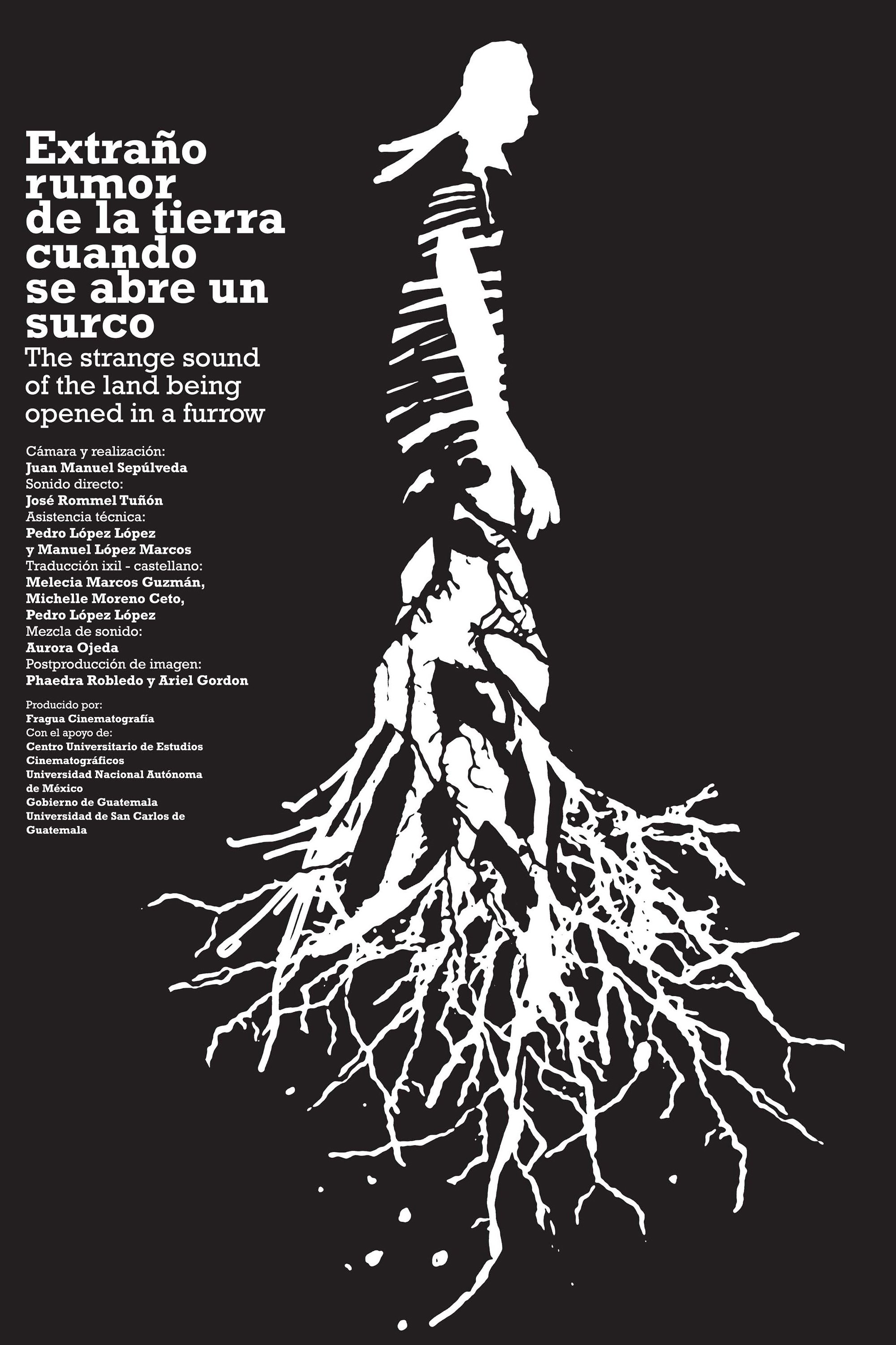 Poster de Extraño rumor de la tierra cuando se abre un surco
