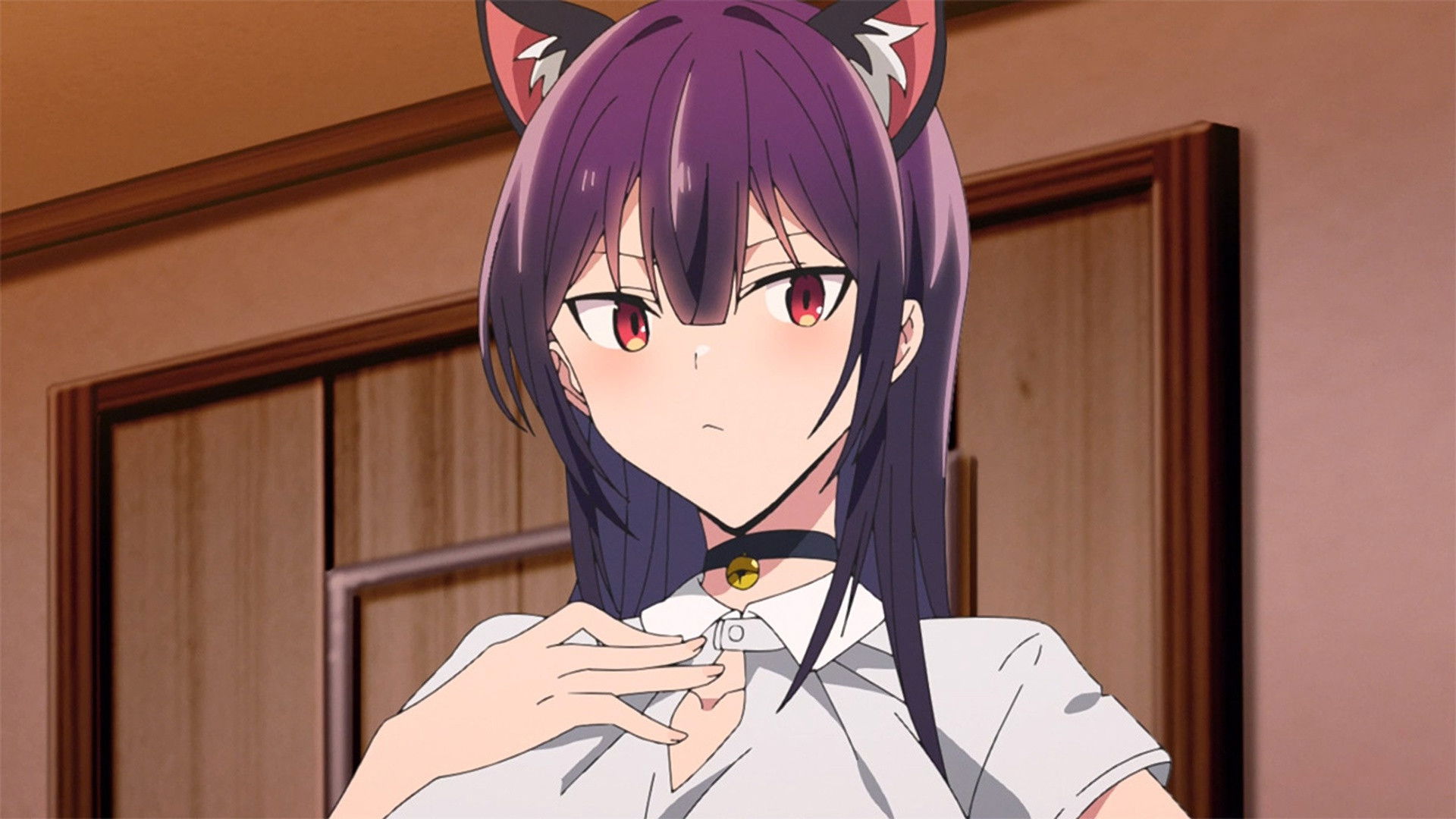 I Want You to Make This Cat Purr, Meow.