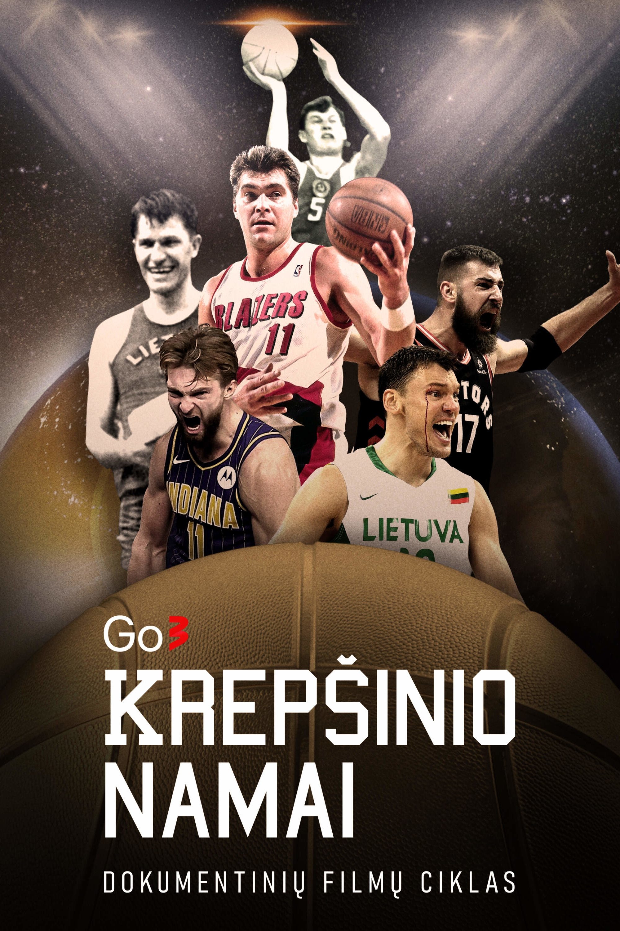 Poster de Krepšinio namai