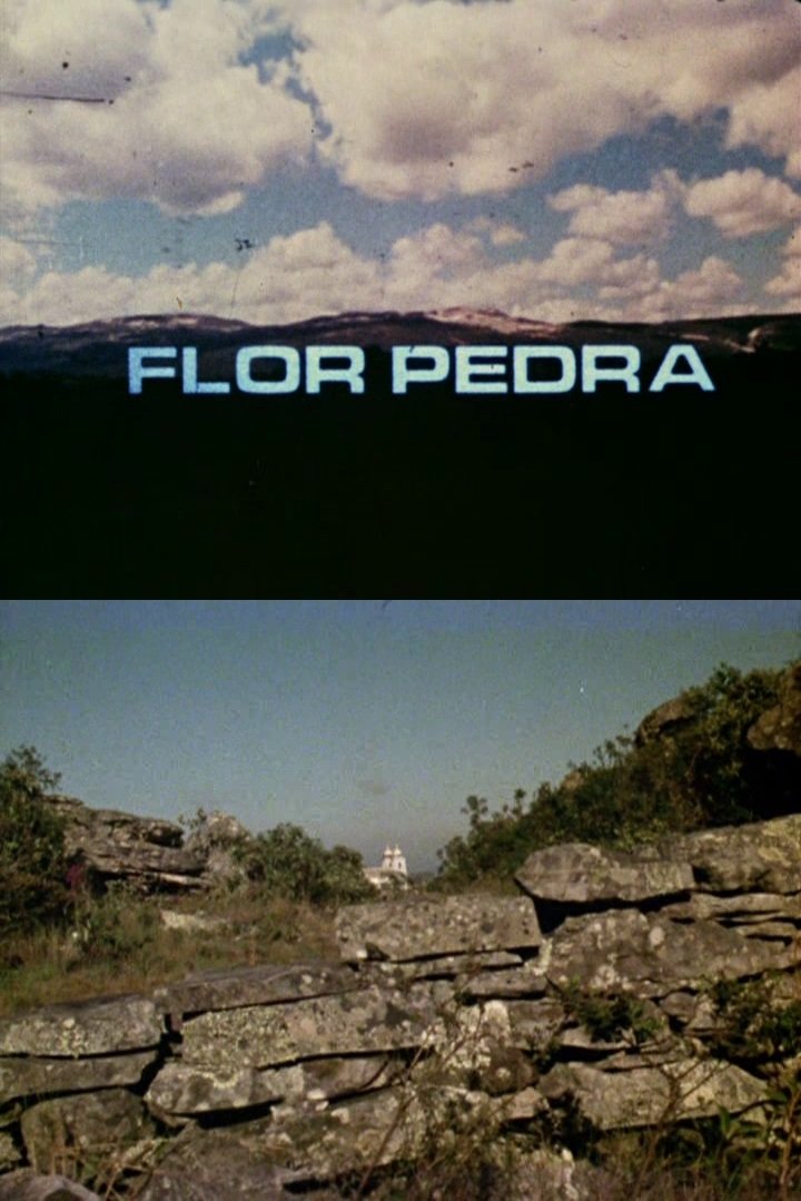Poster de Flor Pedra