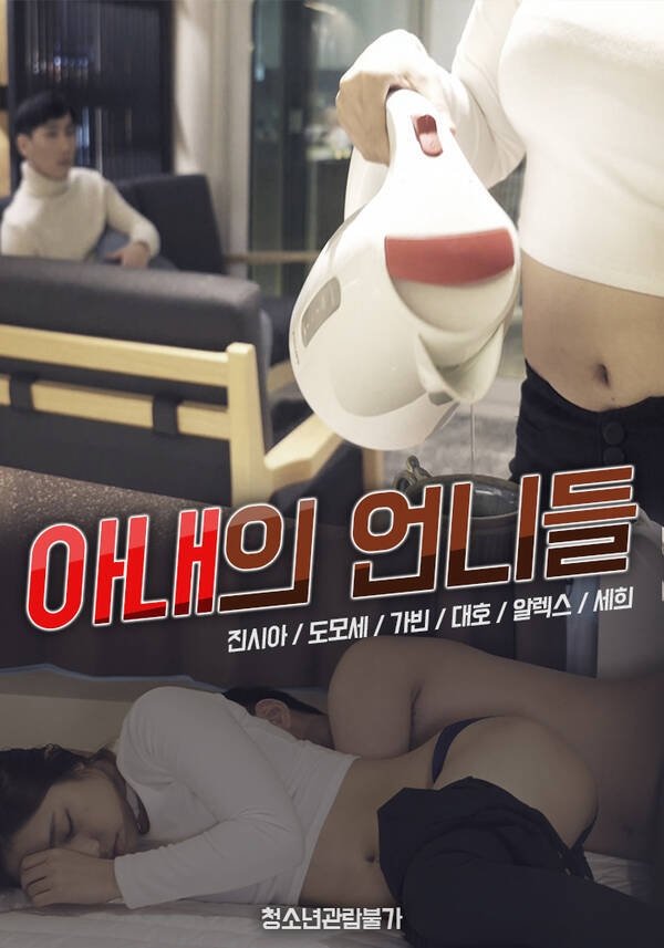 Poster de 아내의 언니들