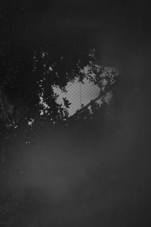 Foto de gasoleane
