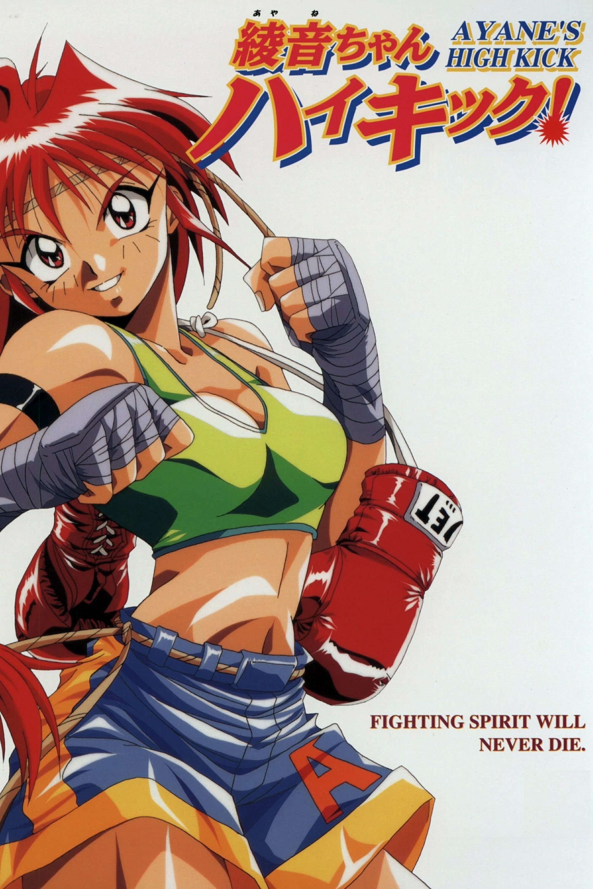 Poster de Ayane-chan High Kick!