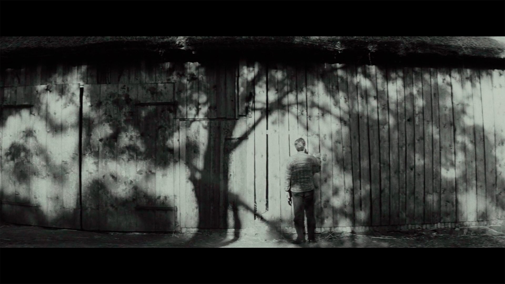 backdrops
