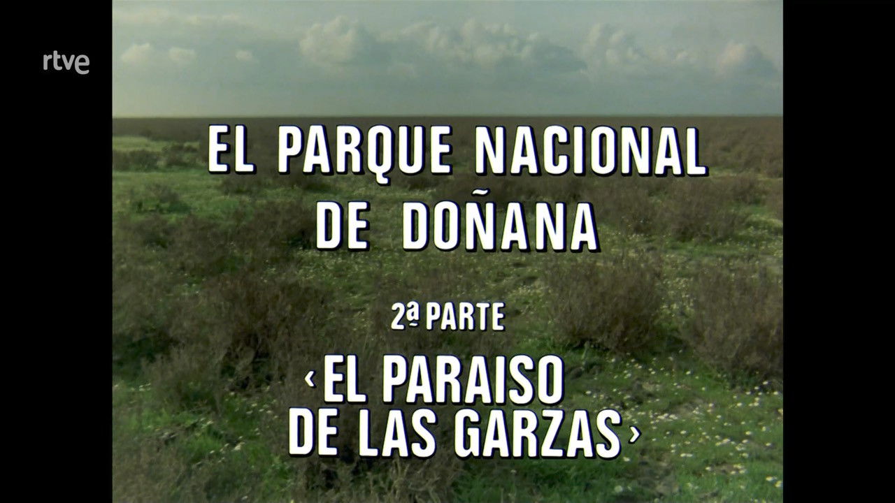 Doñana National Park II