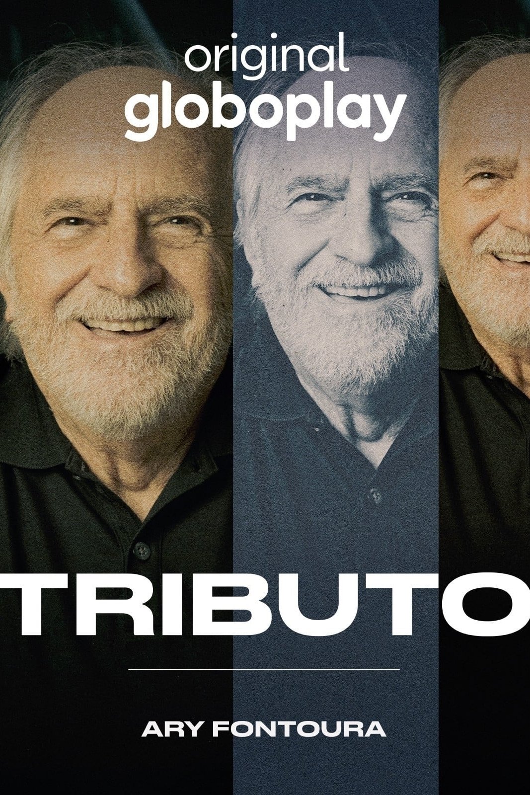 Poster de Tributo: Ary Fontoura