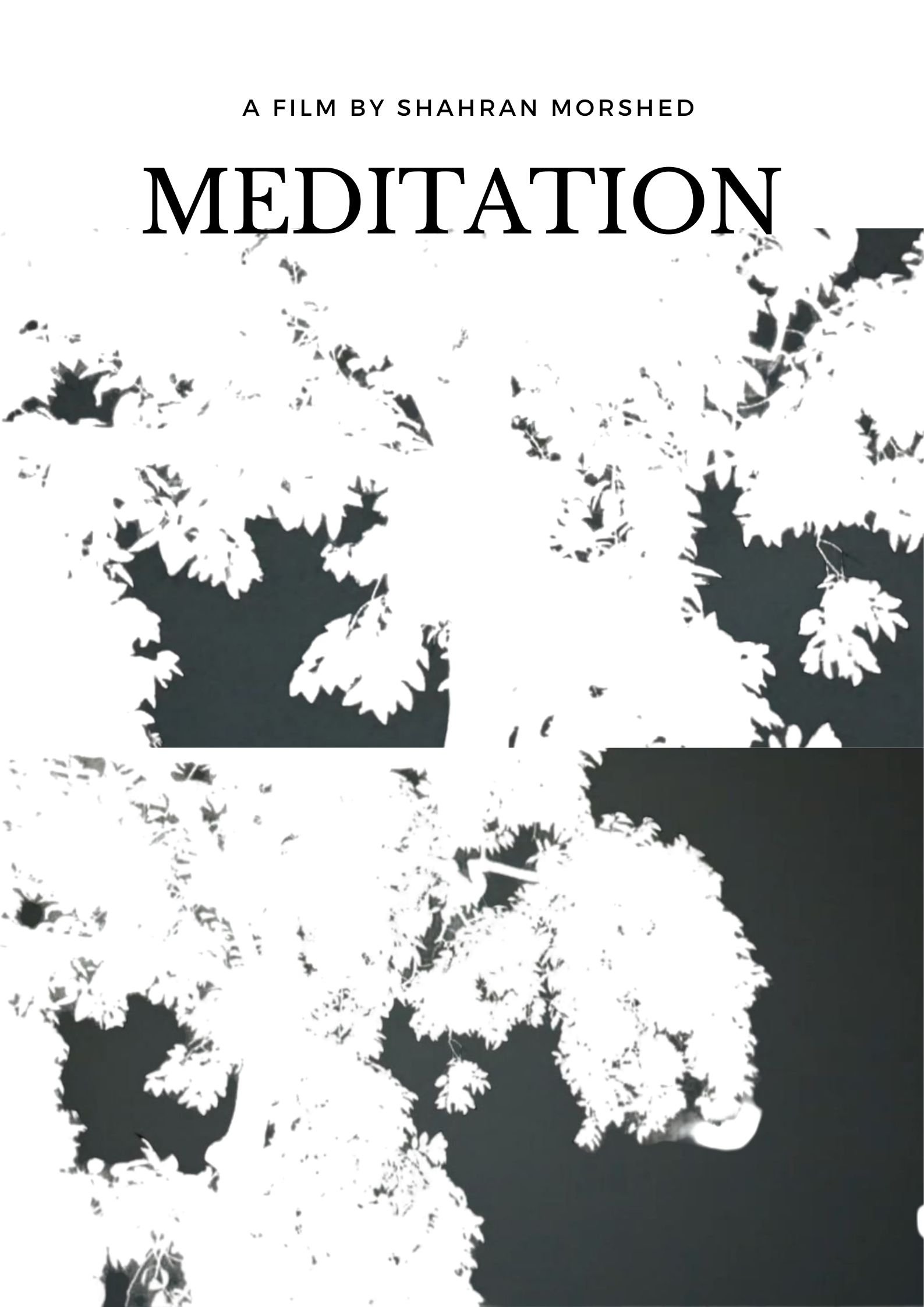Poster de Meditation