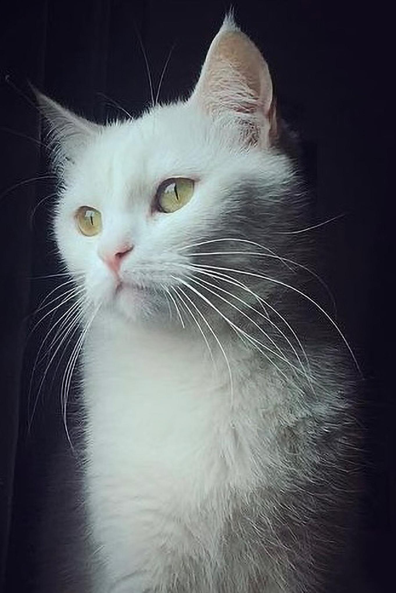 Profil Fotoğrafı