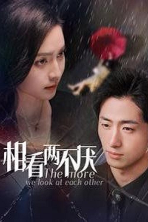 Poster de 相看两不厌
