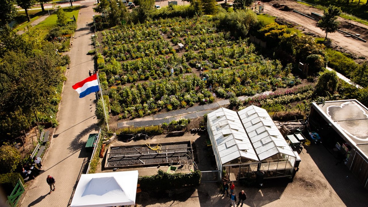 The Schoolgarden