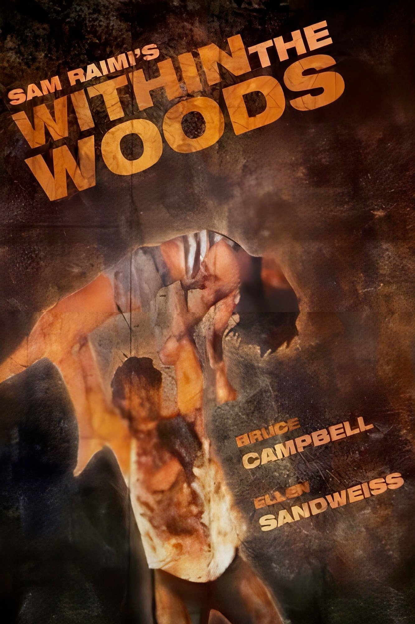 Affiche du film Within the Woods