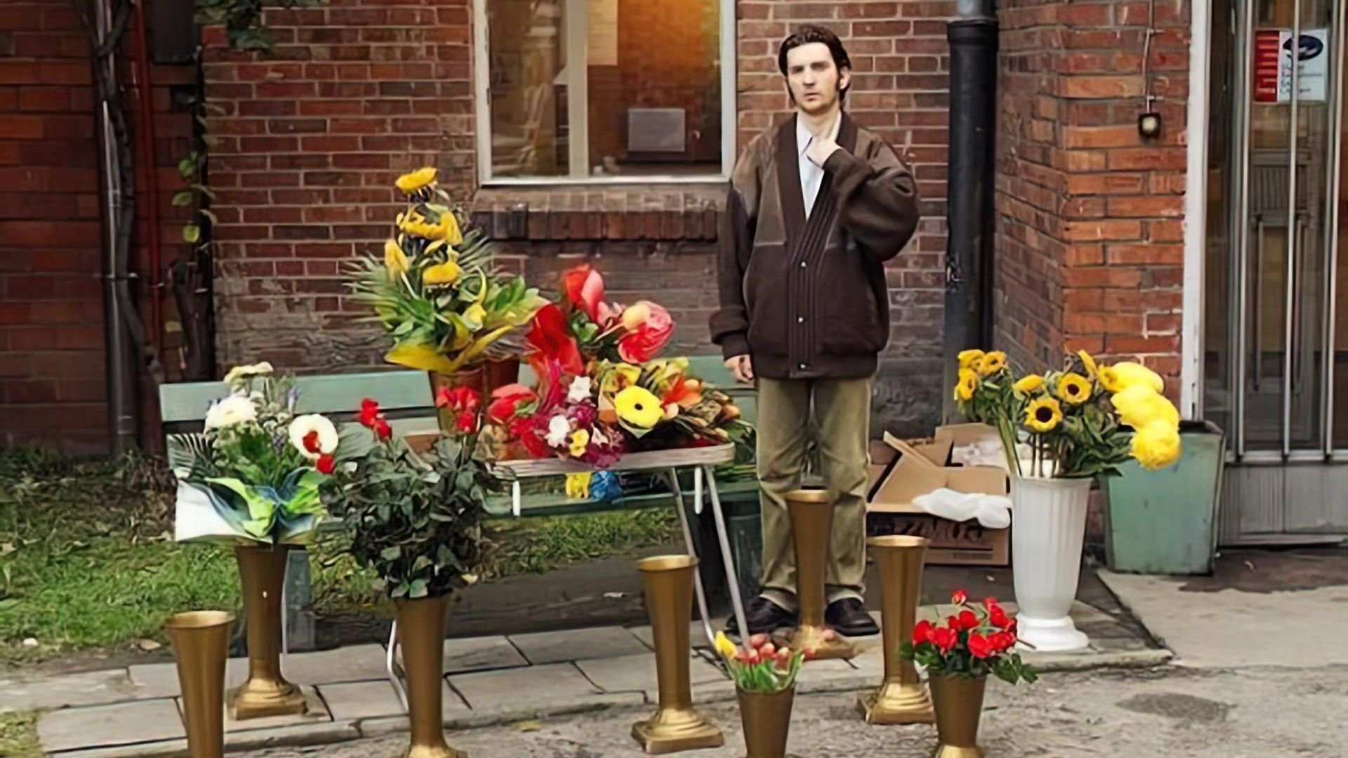 Backdrop image