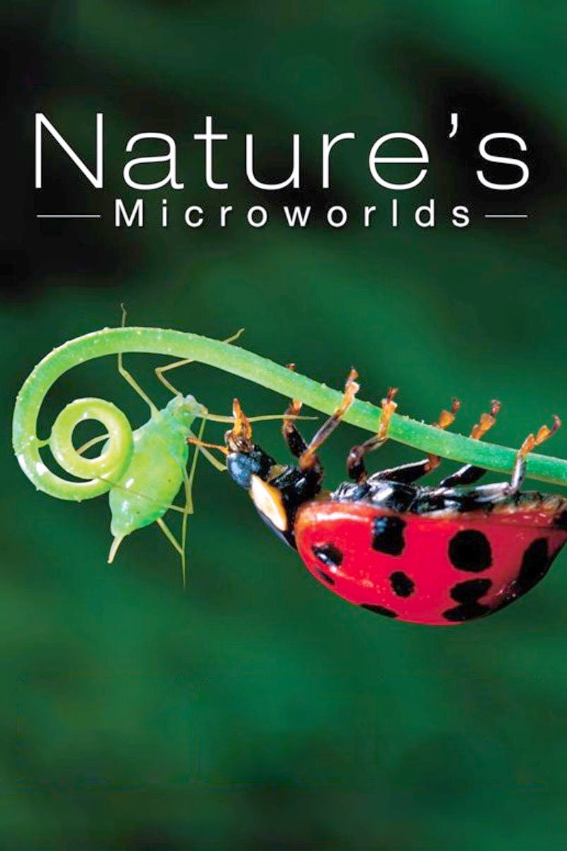 Poster de Nature's Microworlds
