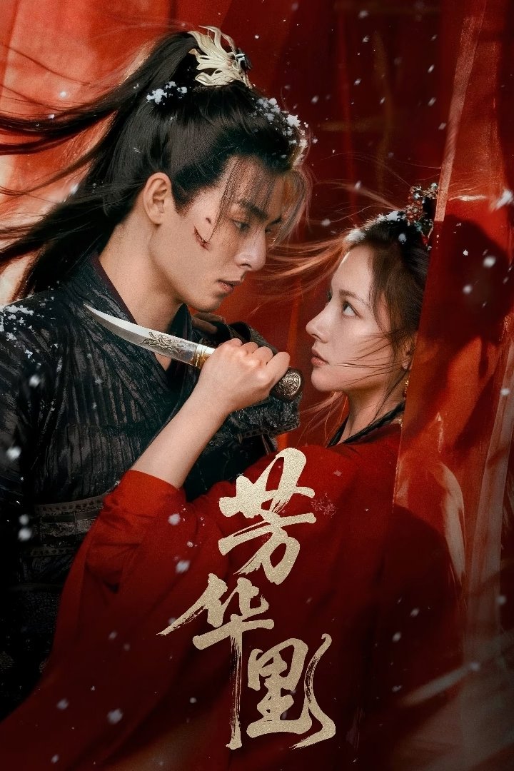 Poster de 芳华里