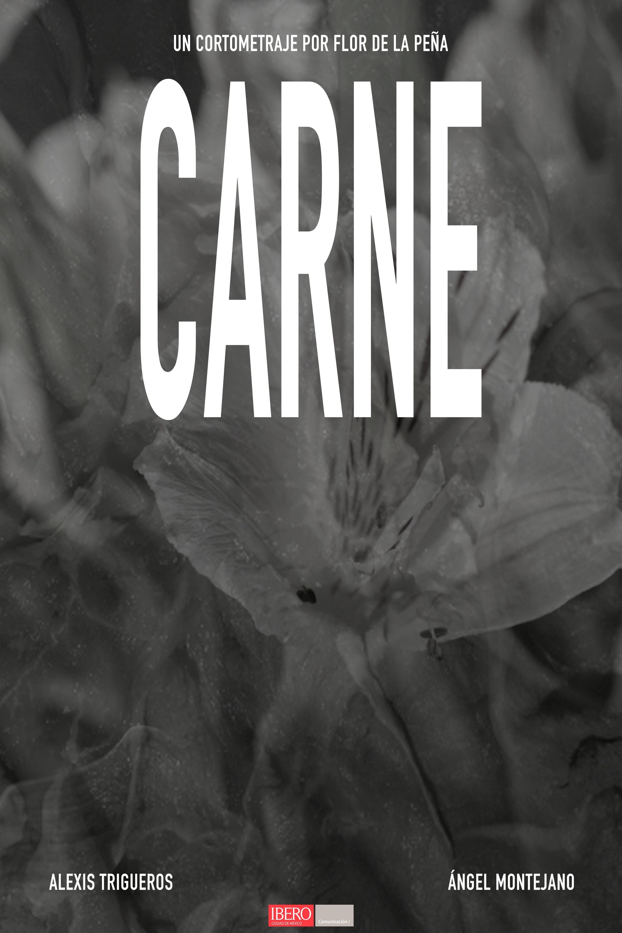 Poster de CARNE