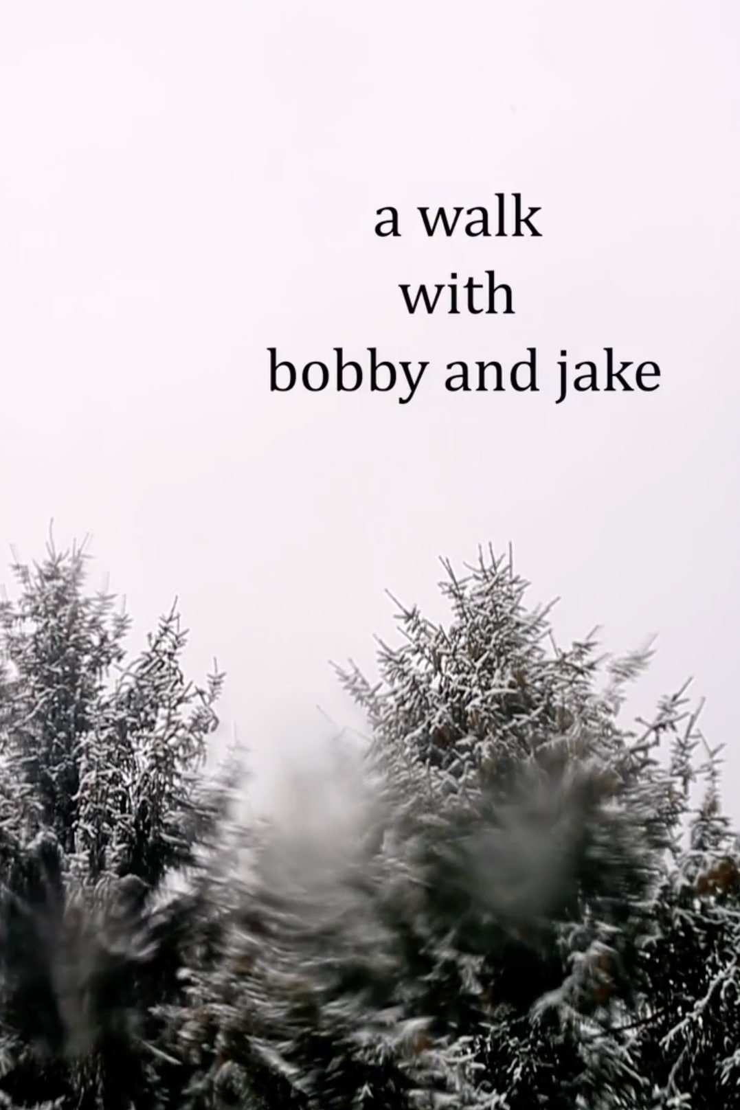 Poster de a walk with bobby and jake
