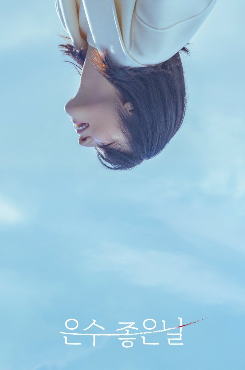 Poster de 은수좋은날