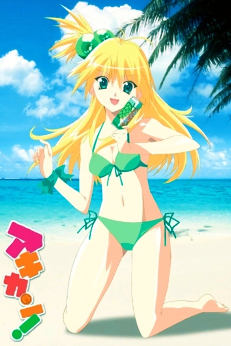Poster de Akikan