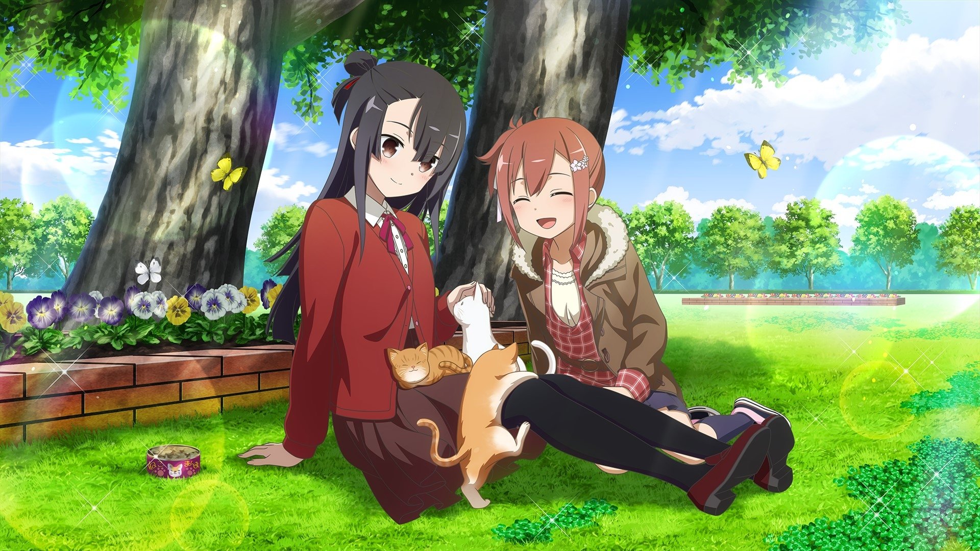 Backdrop image