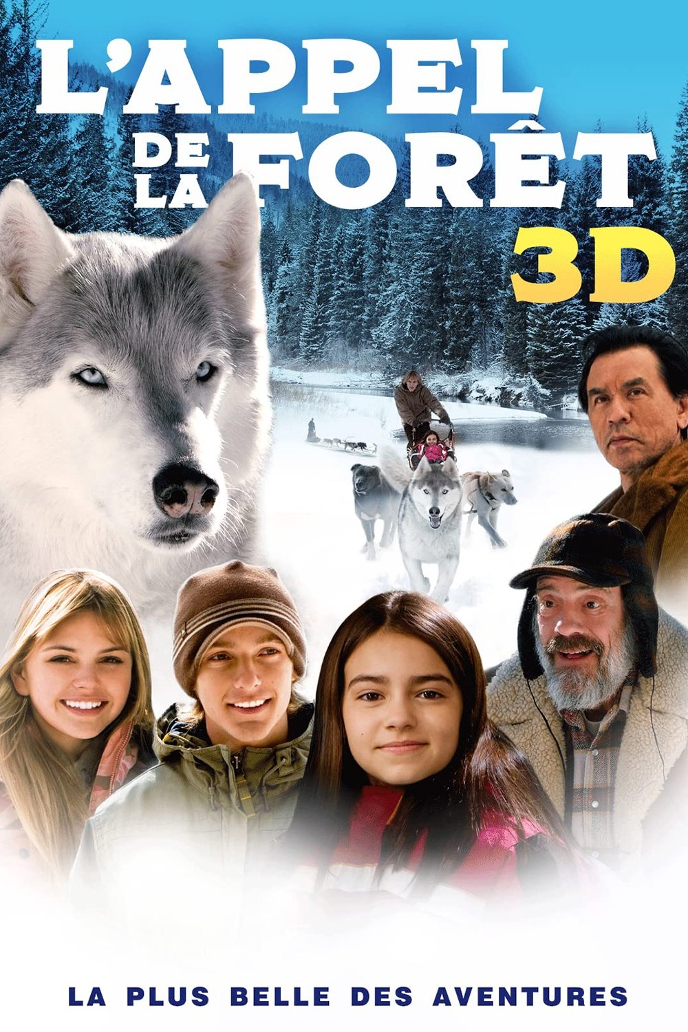 Affiche du film Call of the Wild