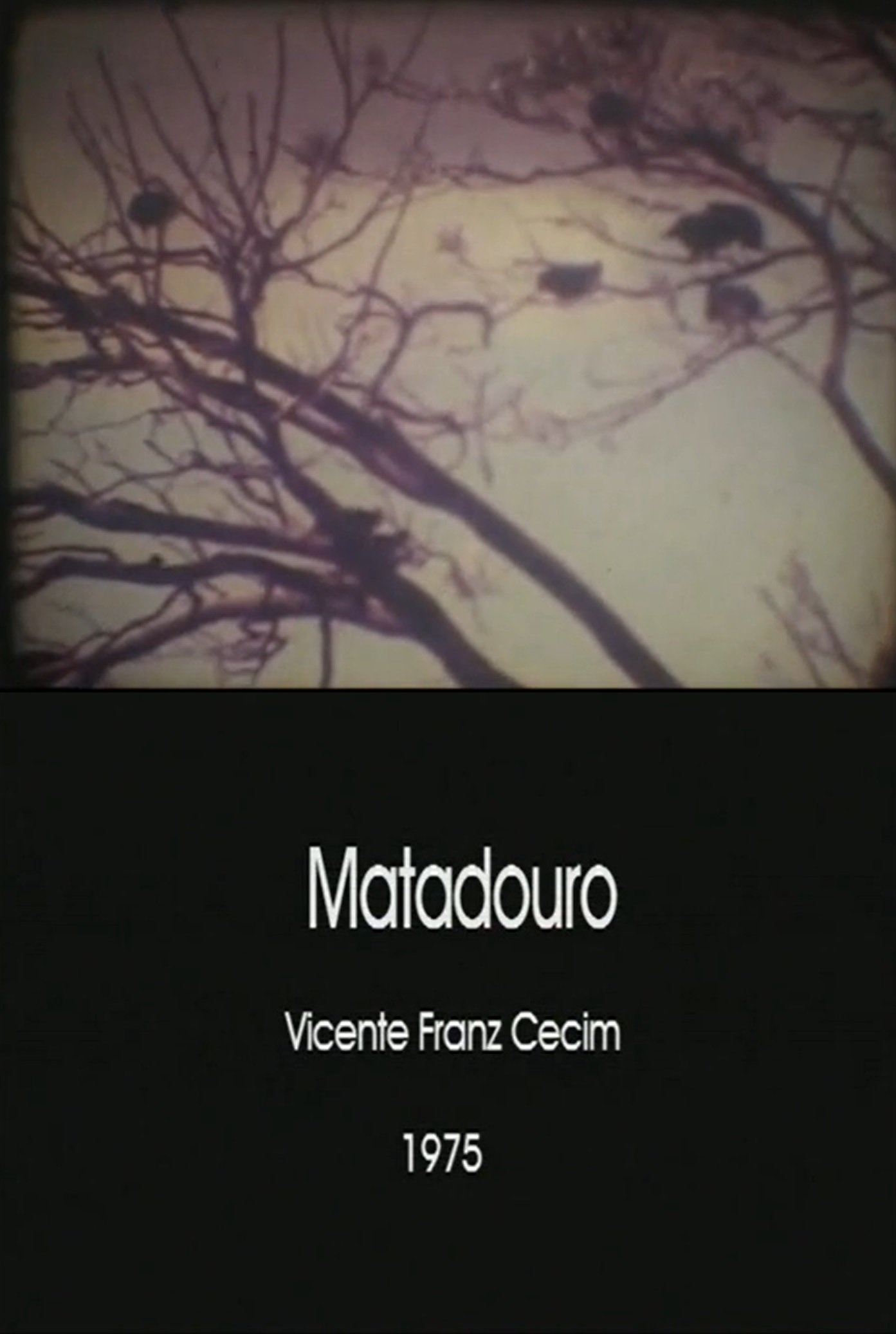 Poster de Matadouro