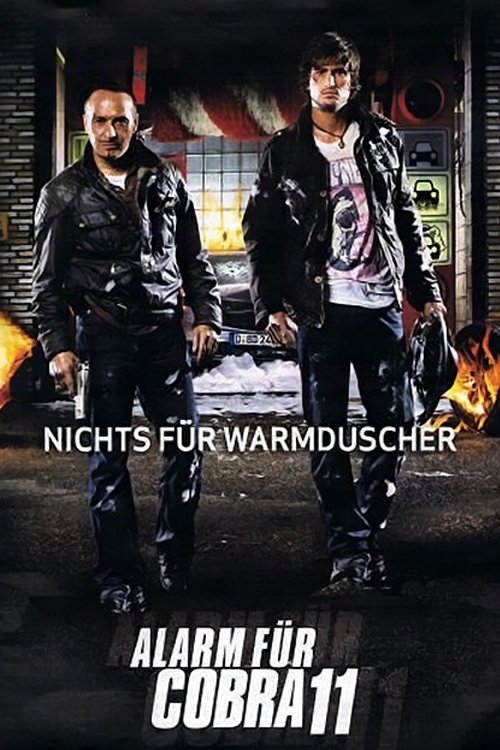 Poster de Temporada 33