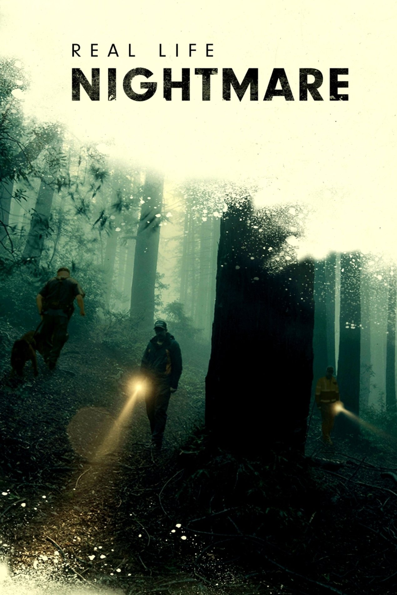 Poster de Real Life Nightmare