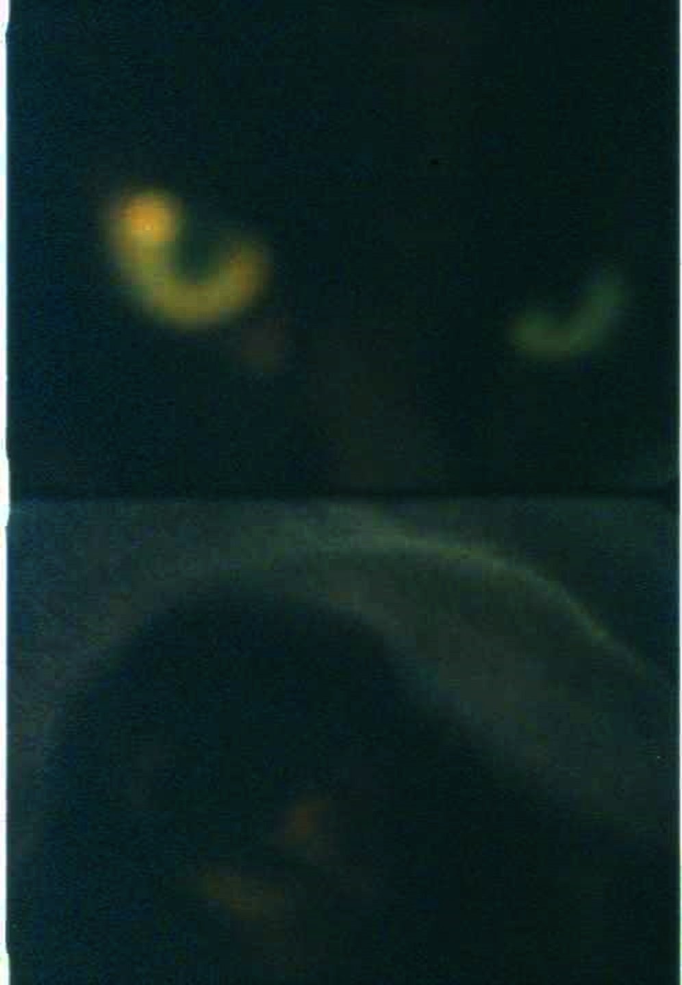 Poster de Max