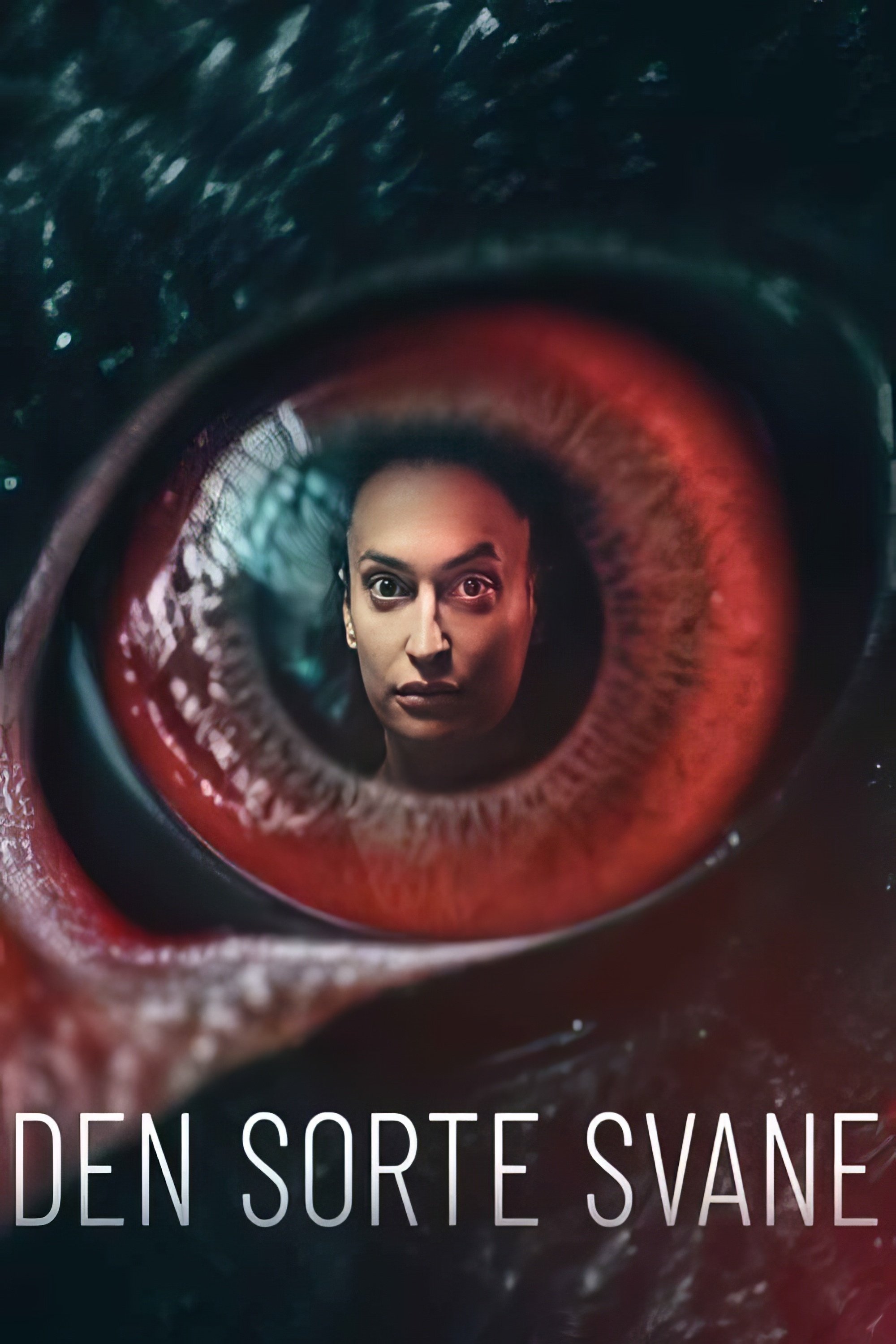 Poster de Den sorte svane