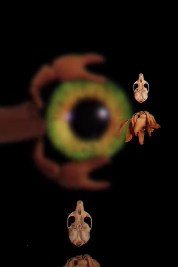 Poster de Bestiary Unknown
