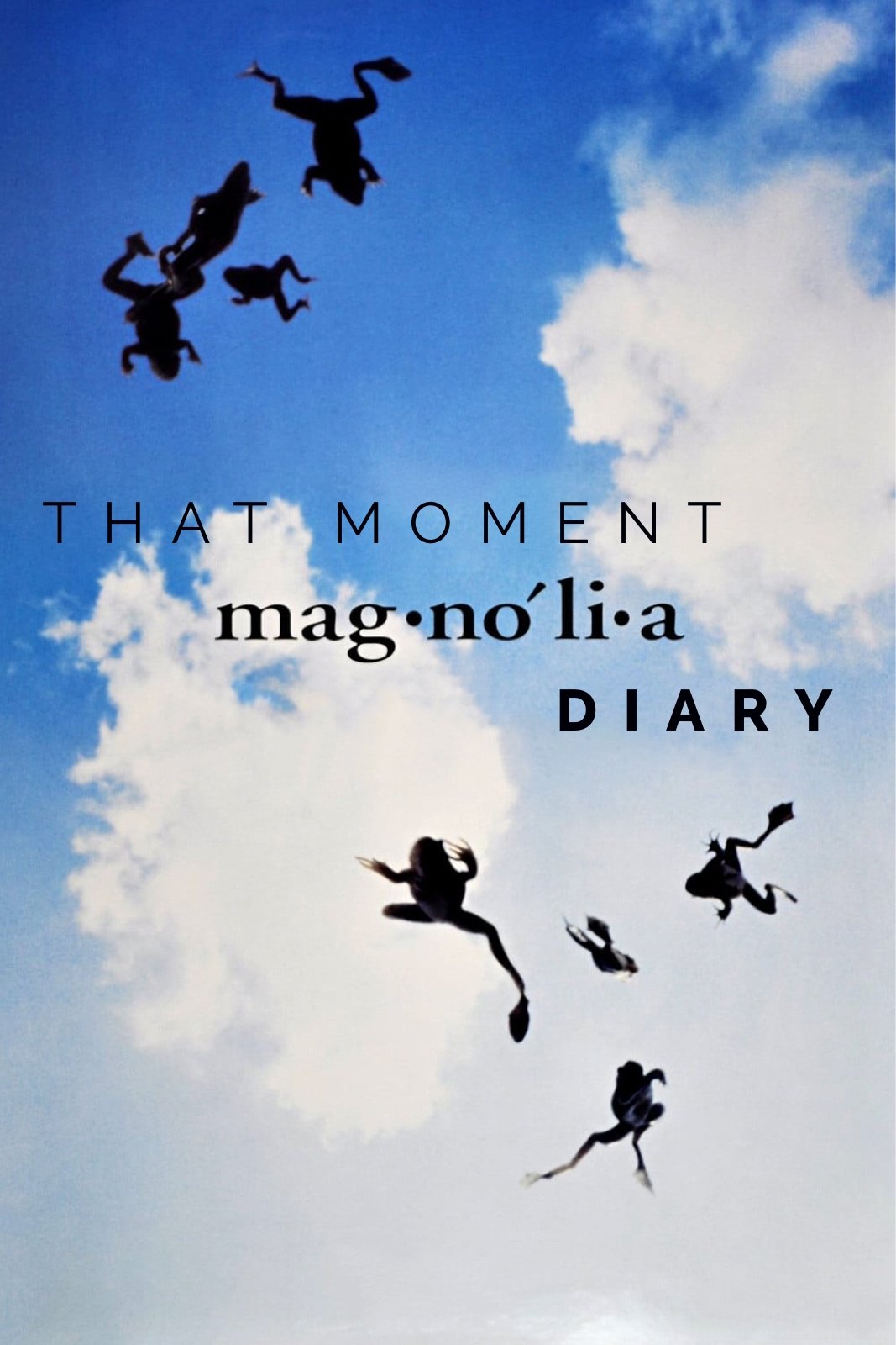 Affiche du film That Moment: Magnolia Diary