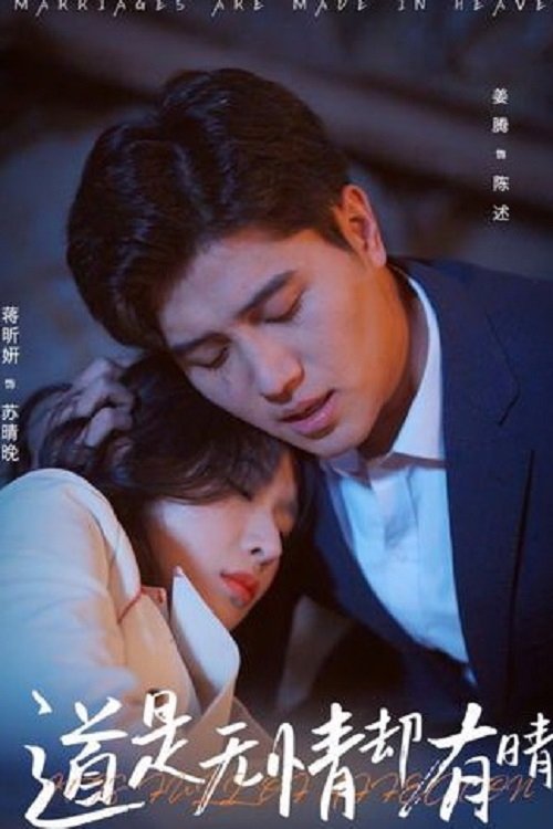 Poster de 道是无情却有晴
