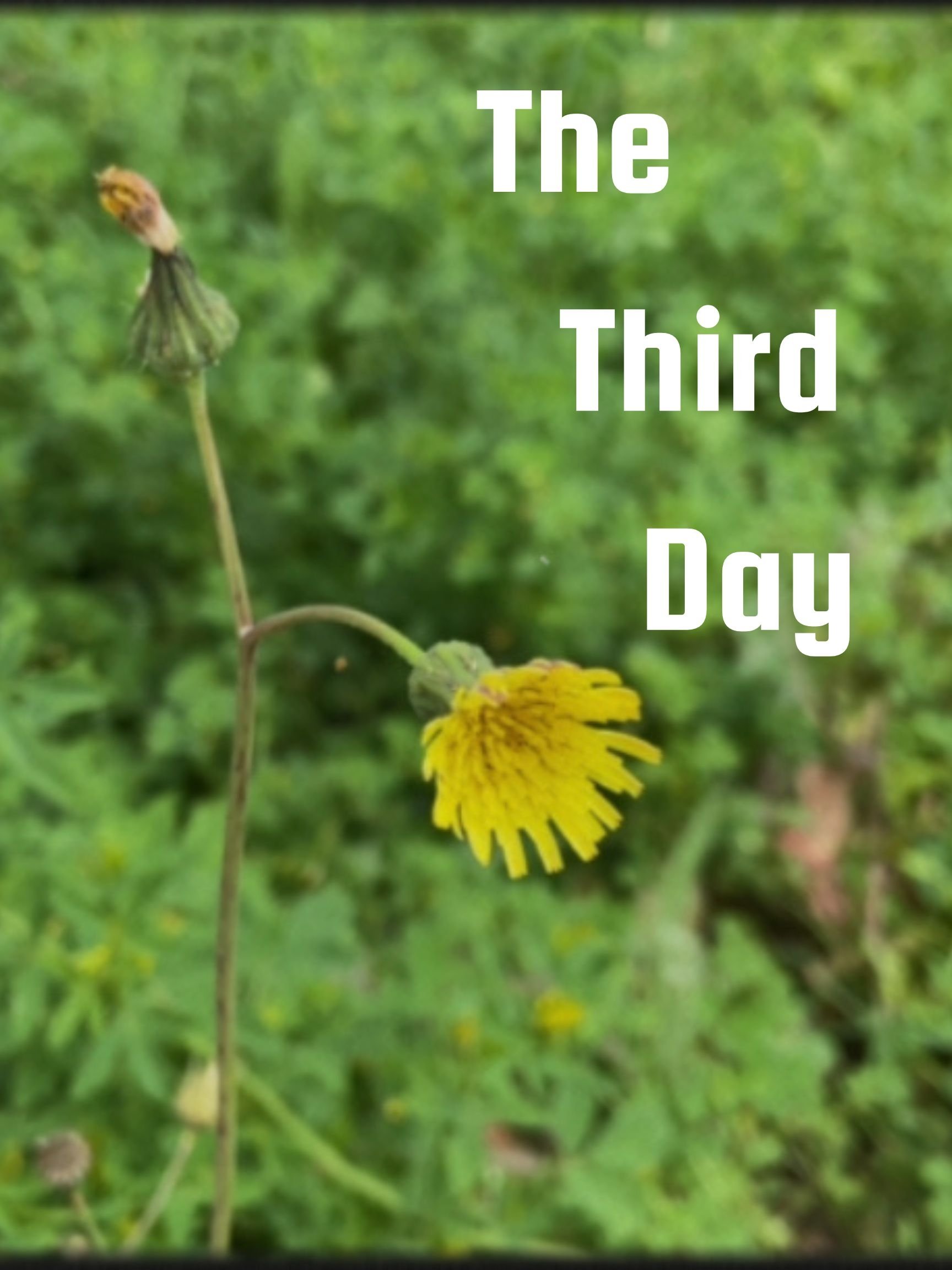 Poster de The Third Day