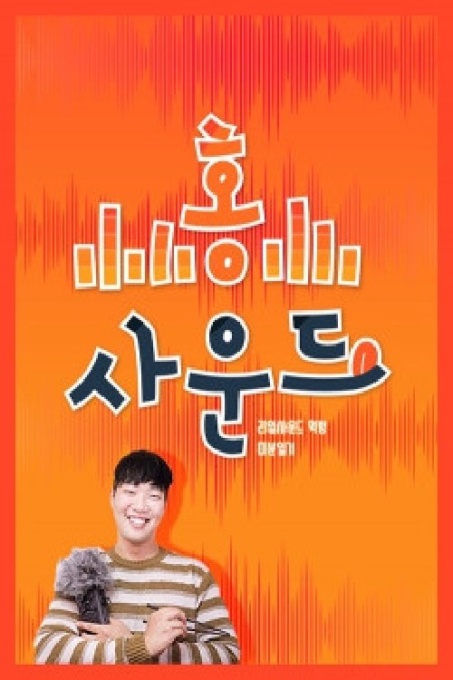 Poster de 홍사운드