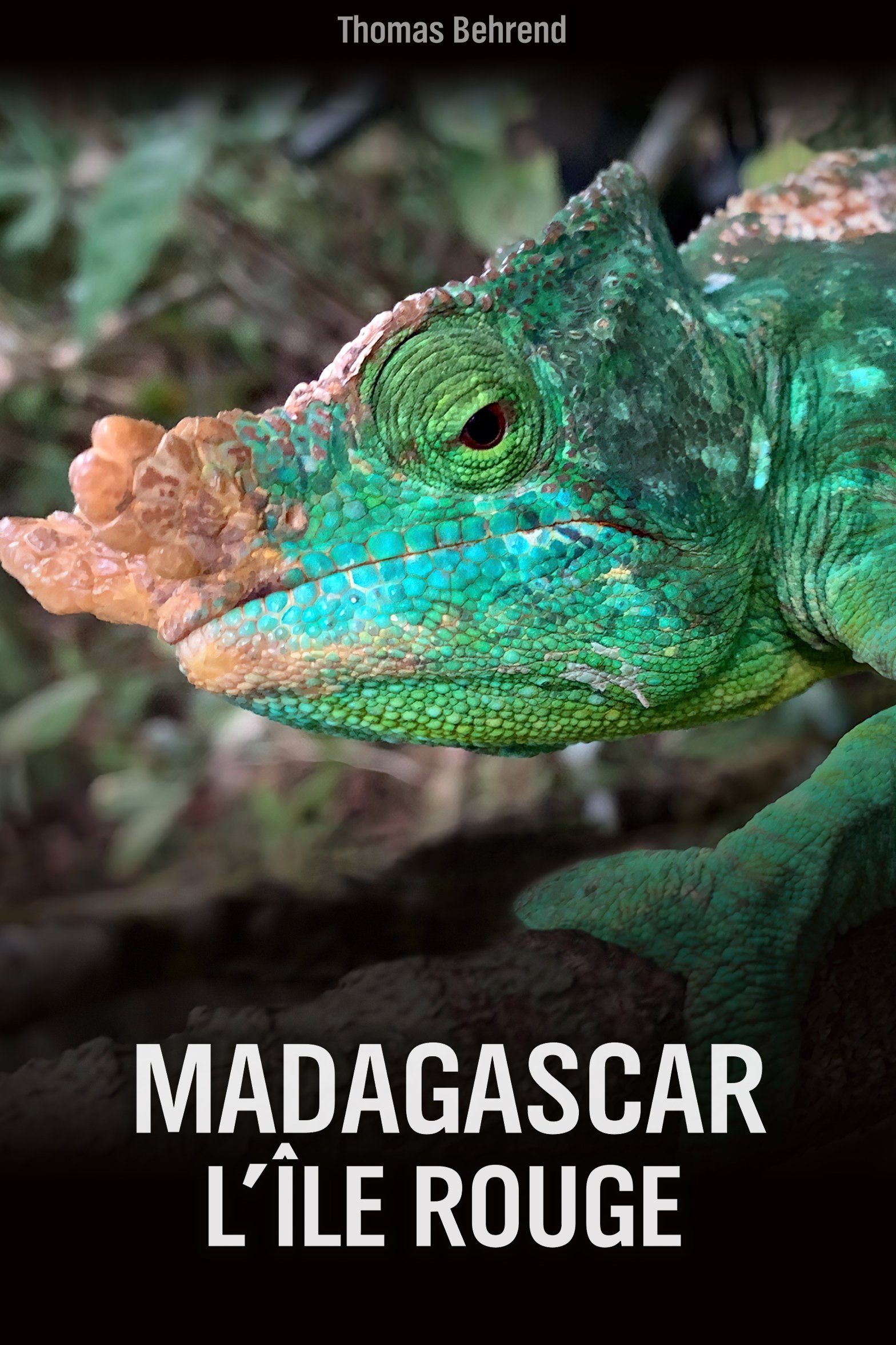Poster de Unbekanntes Madagaskar