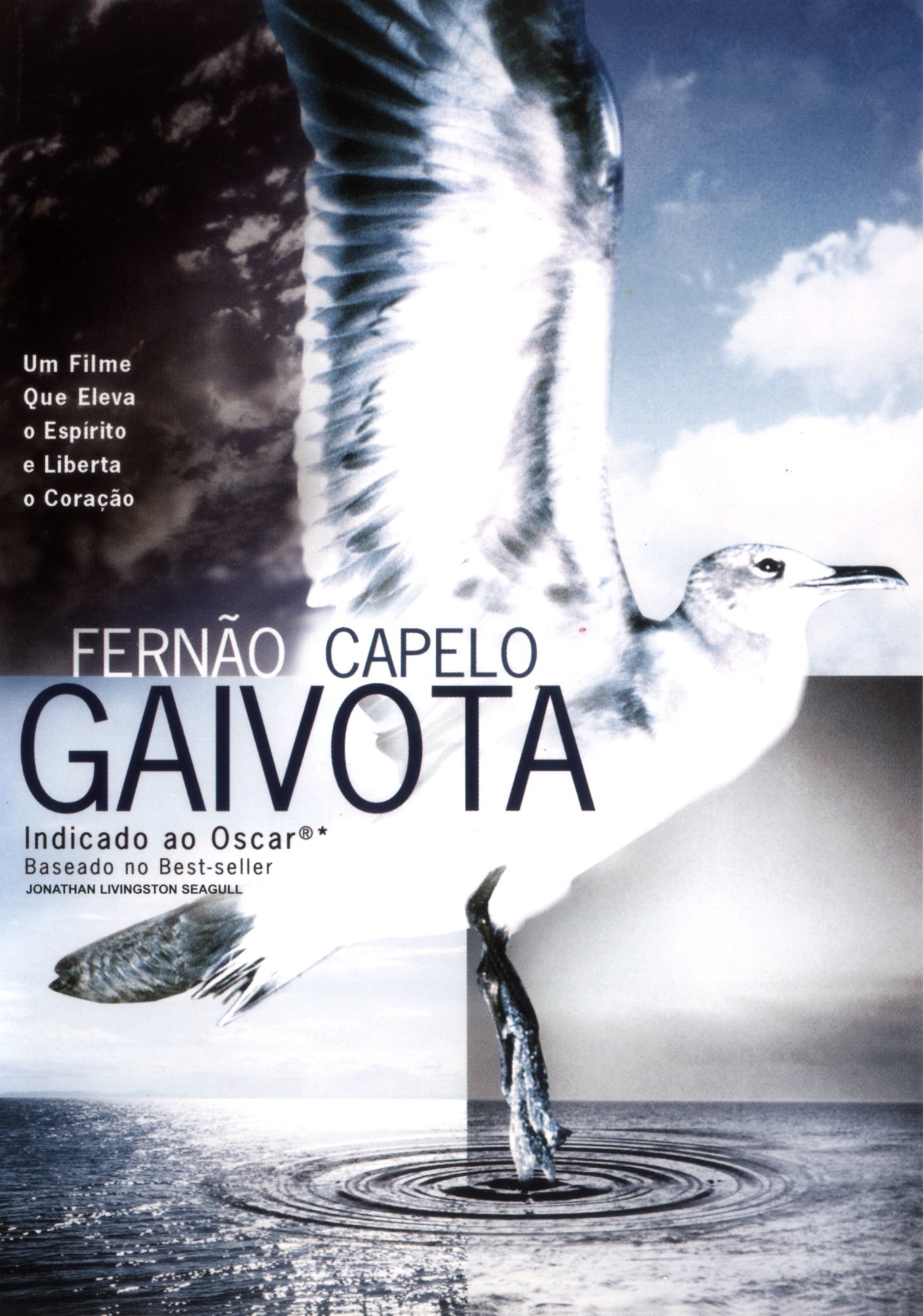 Poster de Fernão Capelo Gaivota