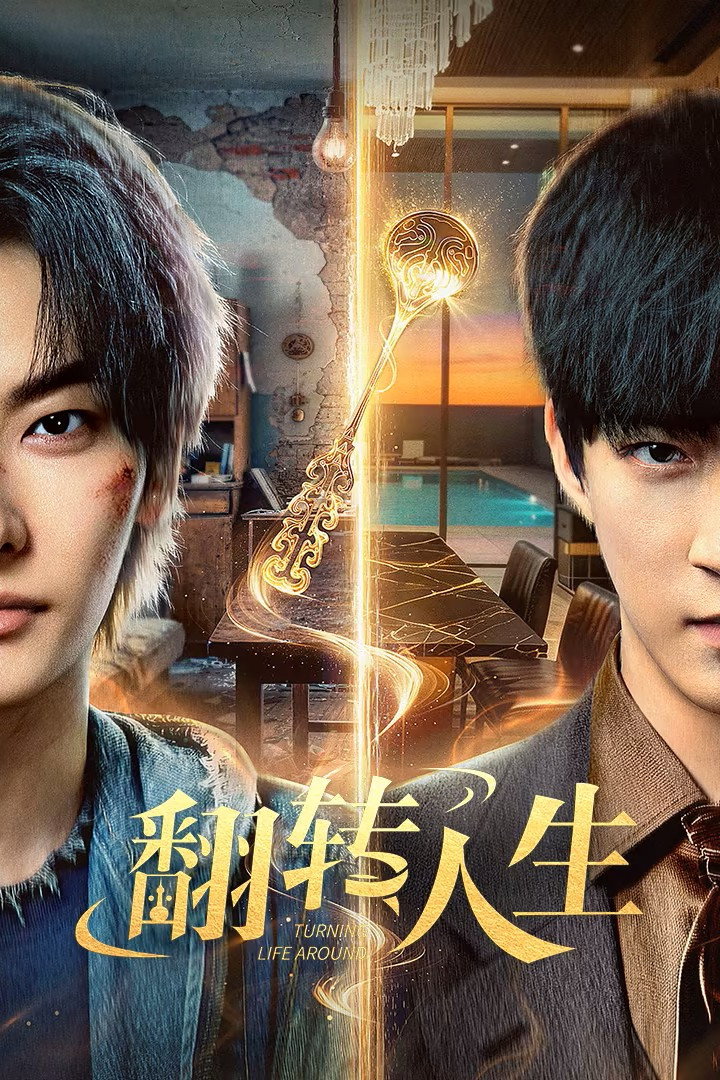 Poster de 翻转人生