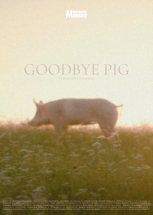 Poster de Goodbye Pig