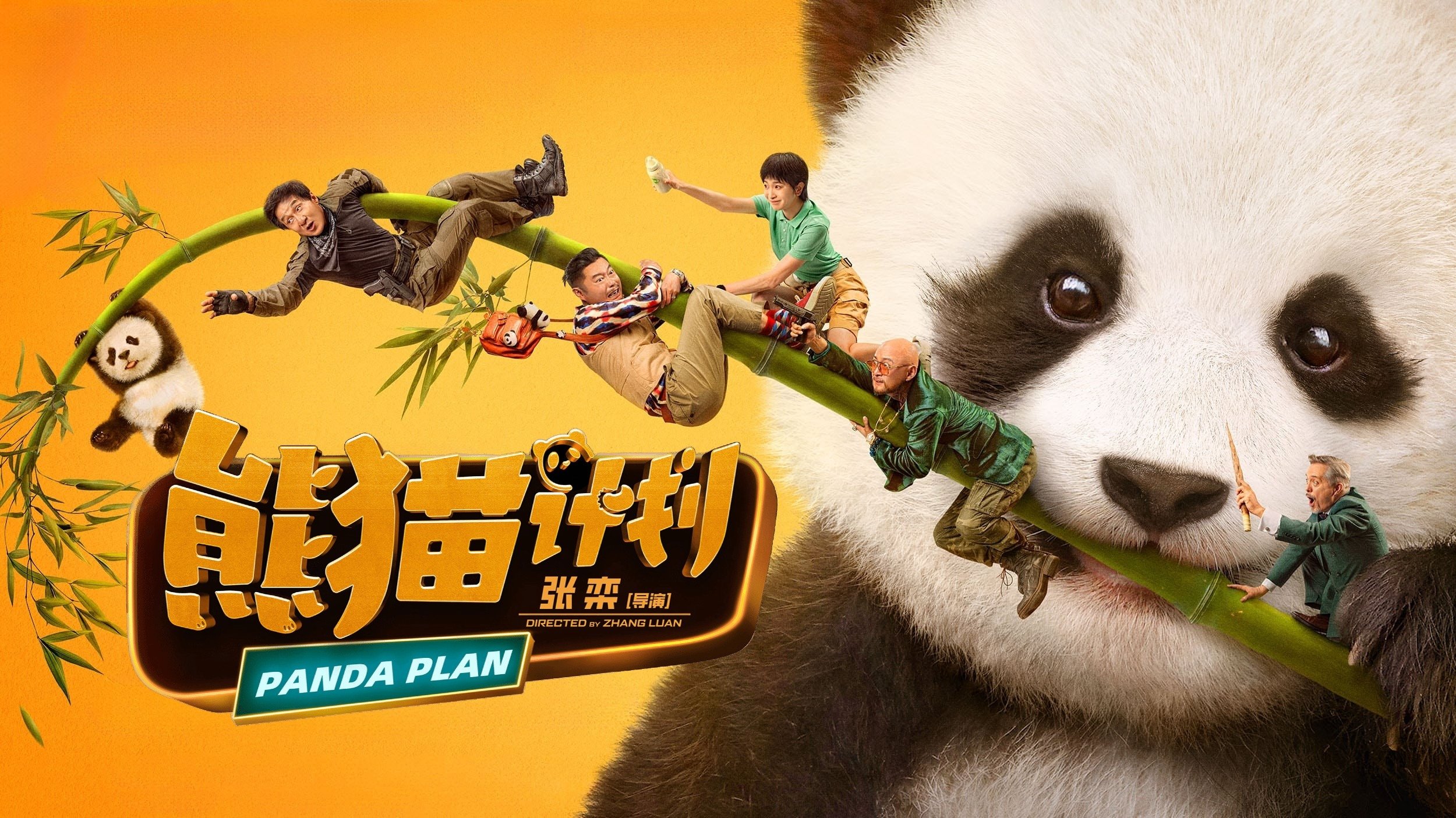 熊猫计划