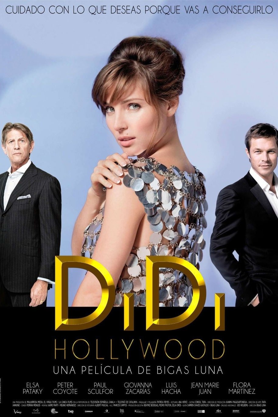 Poster de DiDi Hollywood